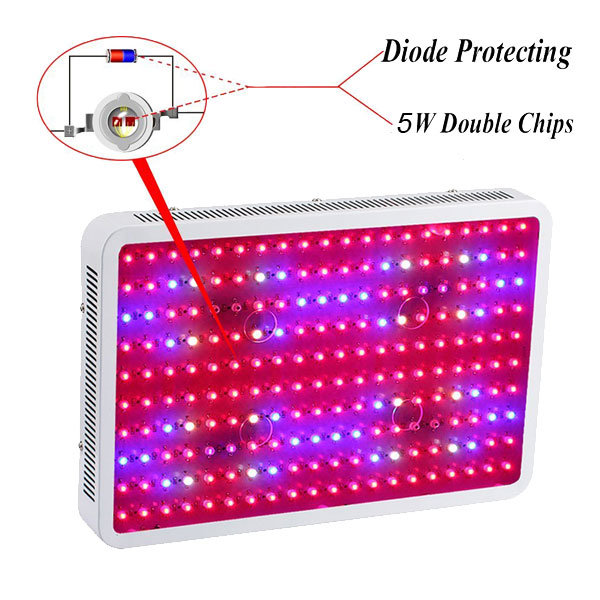 Hot Selling Double Chip 60 PCS LEDs Full Spectrum Plant Grow Lighting 300W LED Grow Light