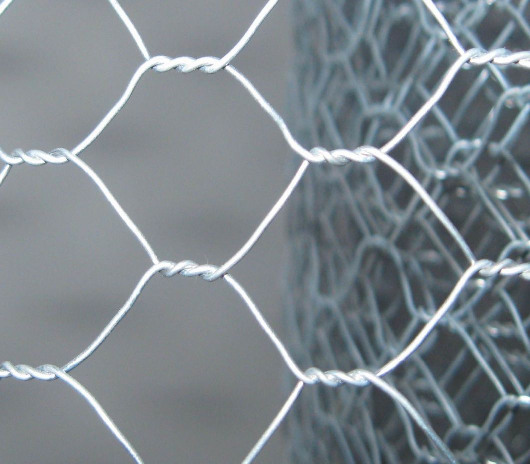 High Quality Chicken Wire Mesh/Hexgaonal Wire Netting