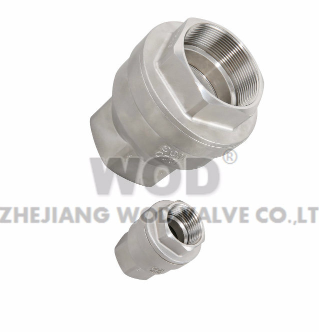 Stainless Steel Vertical Spring Loaded Check Valve