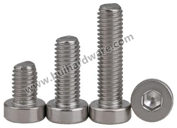 Ss304 Screw DIN7984 Hex Socket Thin Head Cap Bolt