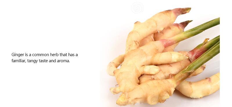 Top Quality Fresh Chinese Fat Ginger