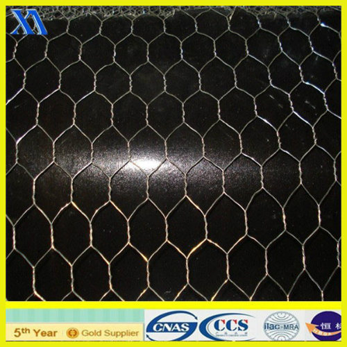Electro Galvanized Hexagonal Wire Mesh (XA-HM403)