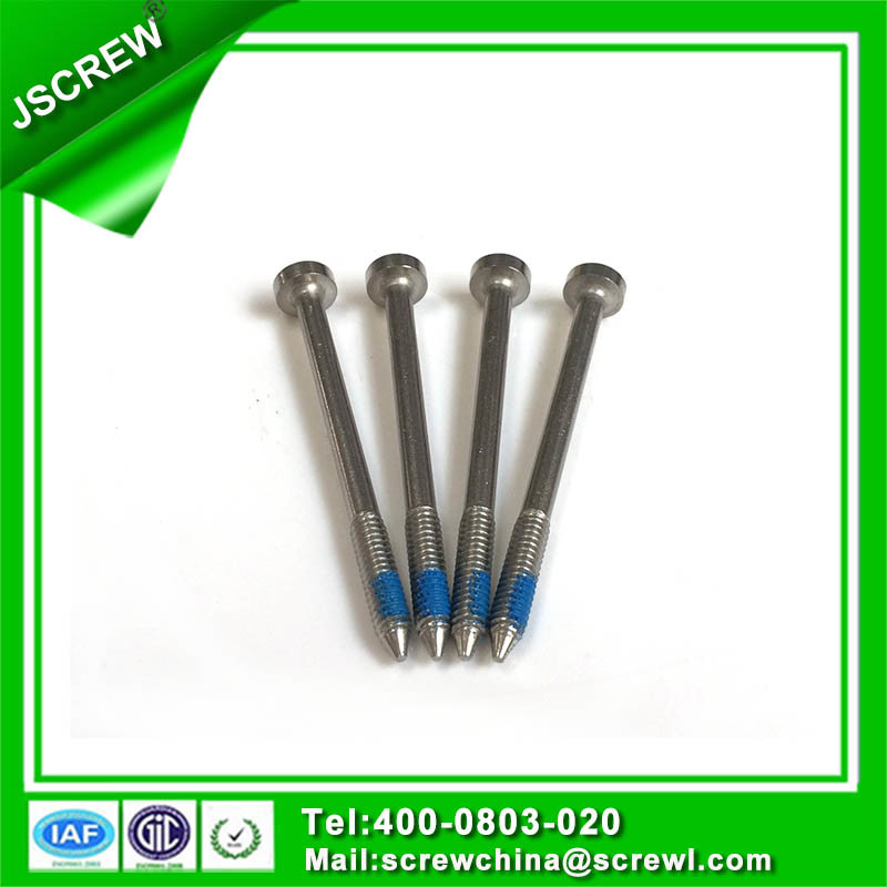 50mm Torx Head Stainless Steel Anti Theft Screw