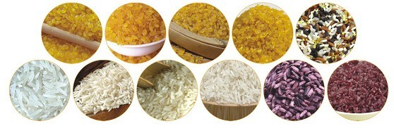 Golden Rice Synthetic Grain Rice Making Machine Extruder Production Manufacture Line