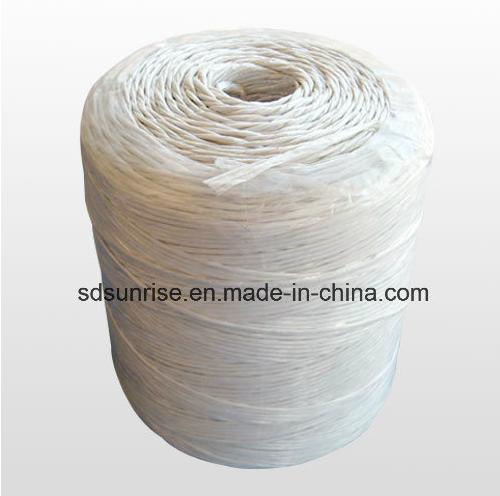 PP Rope/PP Split Film Twine/Plastic Ropes