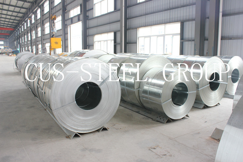 Boxing Shandong Galvanised Steel in Coil/Galvanized Iron Steel Sheet