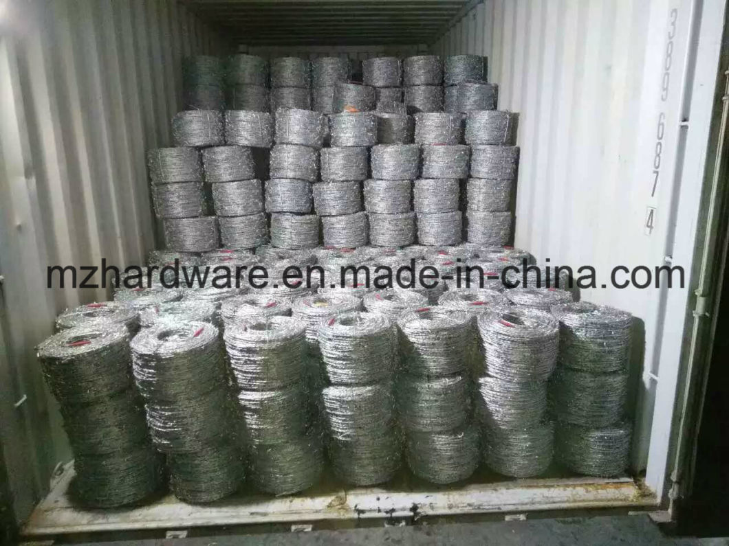 Electro Galvanized and PVC Coated Barbed Wire