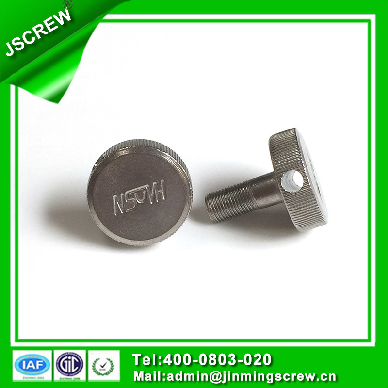 Cheese Head Special Stainless Steel Bolt