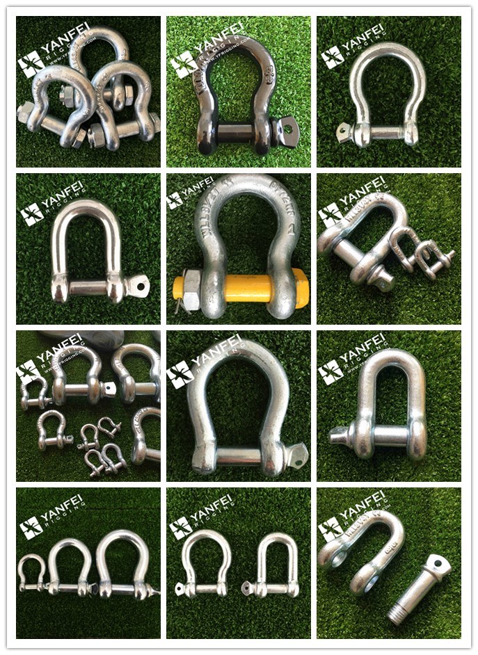 Us Type G209 Anchor Shackle with Screw Pin