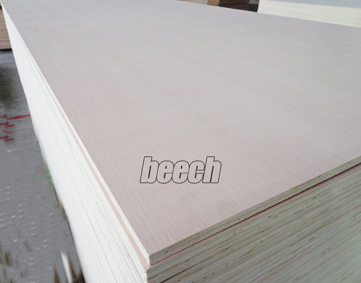 Red Oak/Ash/Teak Fancy Plywood for Furniture and Decoration