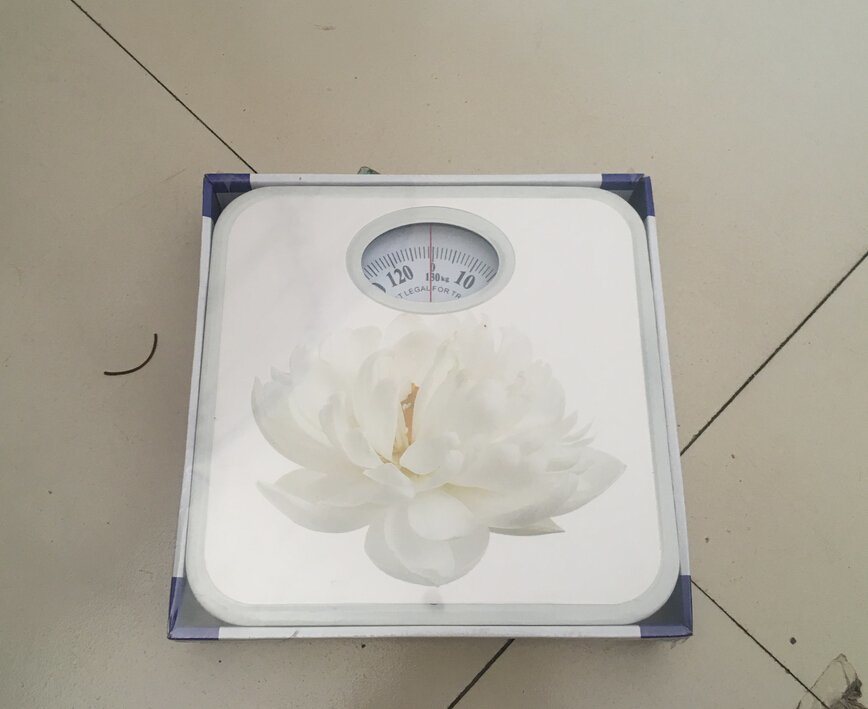 Cheap Price Health Weighing Balance Mechanical Body Scale