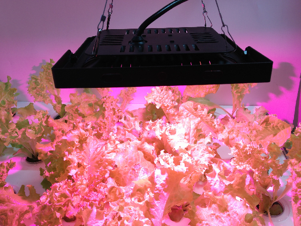 IP67 High Power 150W Garden Greenhouse Plants LED Grow Light