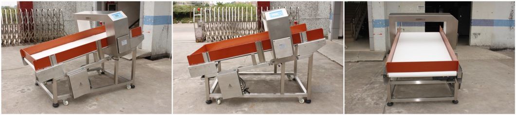 Industrial Conveyor Belt Metal Detector for Washing Industry