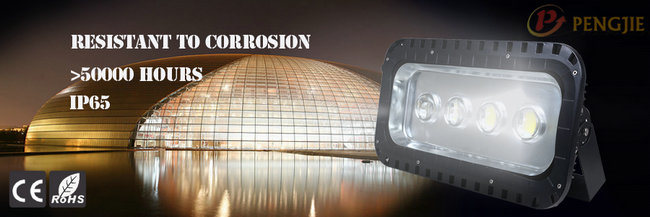 Zhongshan Underground LED Floodlight for Exterior Lighting