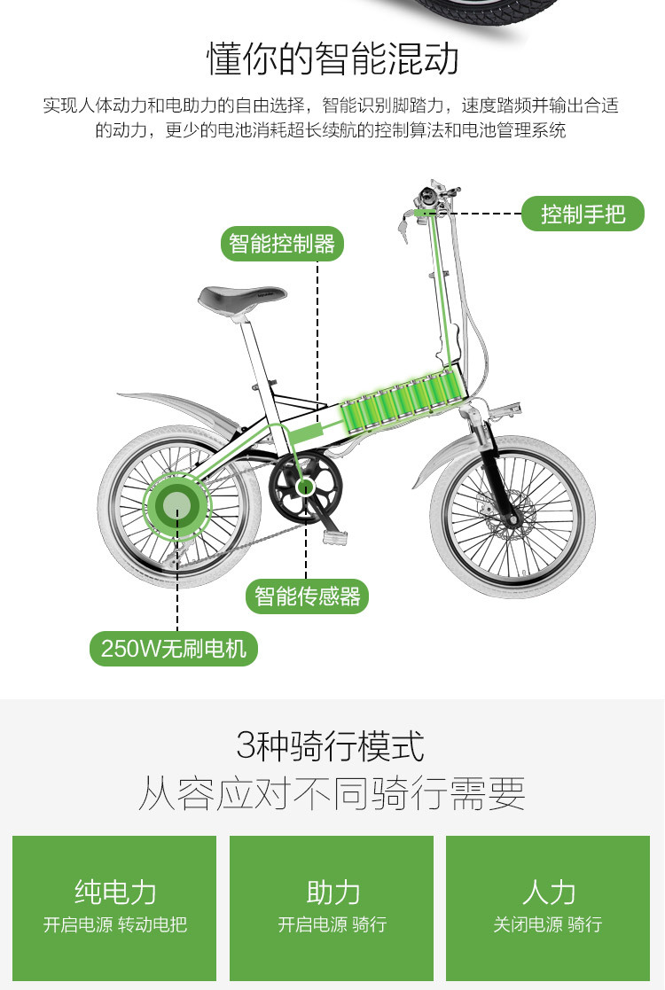 Europe's Popular Electric Folding Bike with Variable Speed and Spoke Wheel