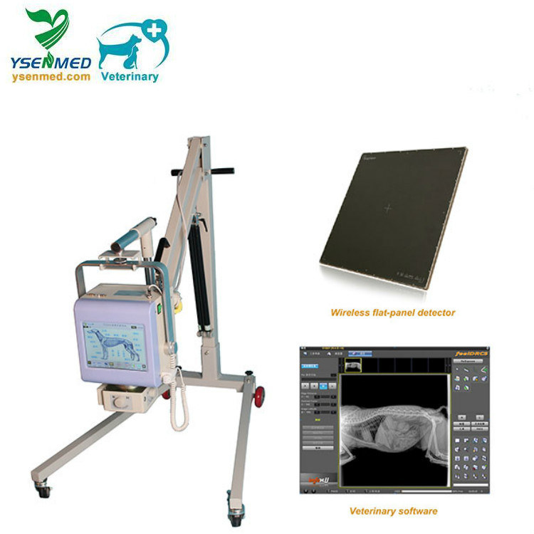 4kw 60mA Touch Screen Portable Veterinary X Ray Machine Ysx040-C