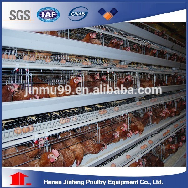 a Type Layer Chicken Cage Products From China (Mainland)