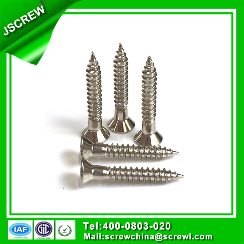 Special Customized Stainless Steel Flat Head Self Tapping Screw