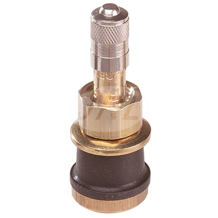 Tr501 Brass Straight Tubeless Tire Valve Stems/Clamp in Valve