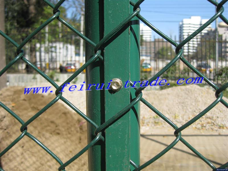 PVC Coated Chain Link Fence