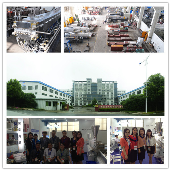 Promotion: Tse-75 Plastic Twin Screw Extruders for Plastic PP PE PA PS