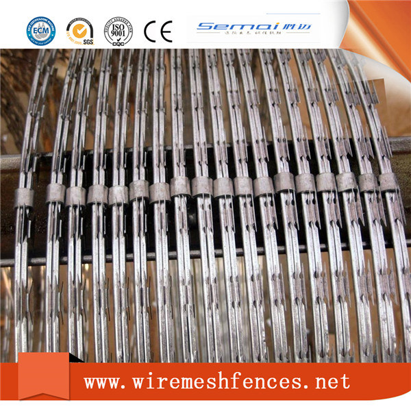 Galvanized Razor Wire Prison Fence