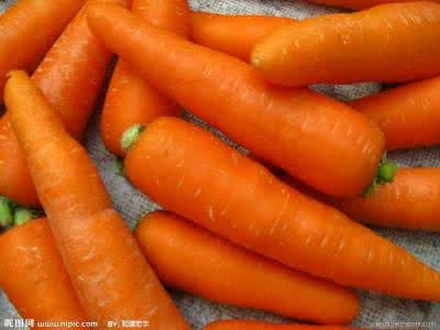 Chinese Fresh Carrot for Exporting