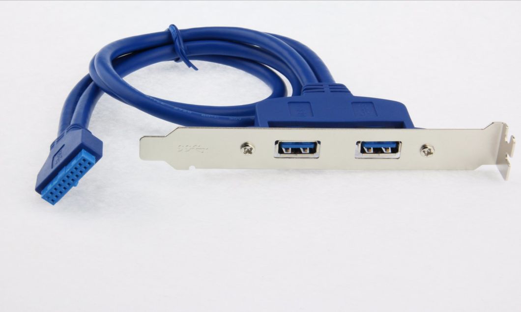 50cm Dual USB3.0 to 20pin Header Cable Short Low Profile Bracket
