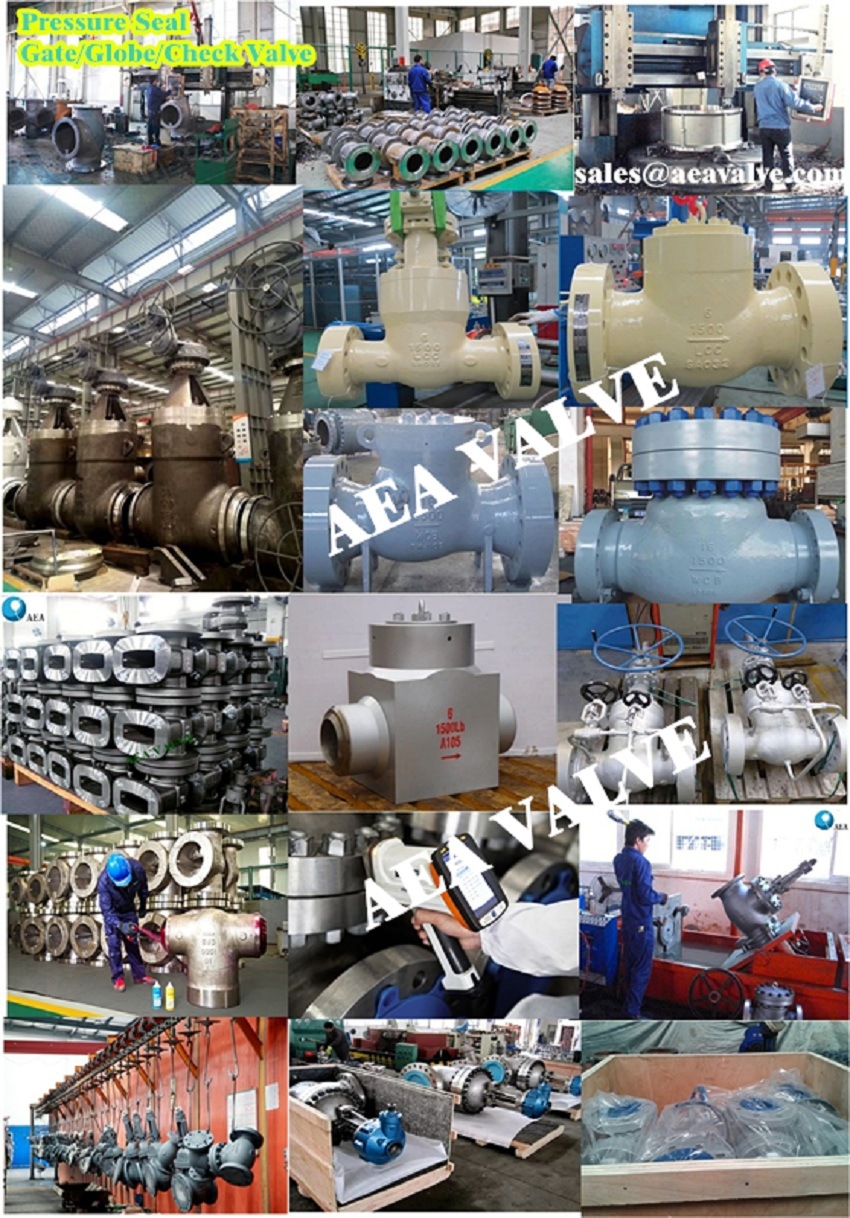 China Supplier API 6D Pressure Seal Bonnet Swing Check Valve