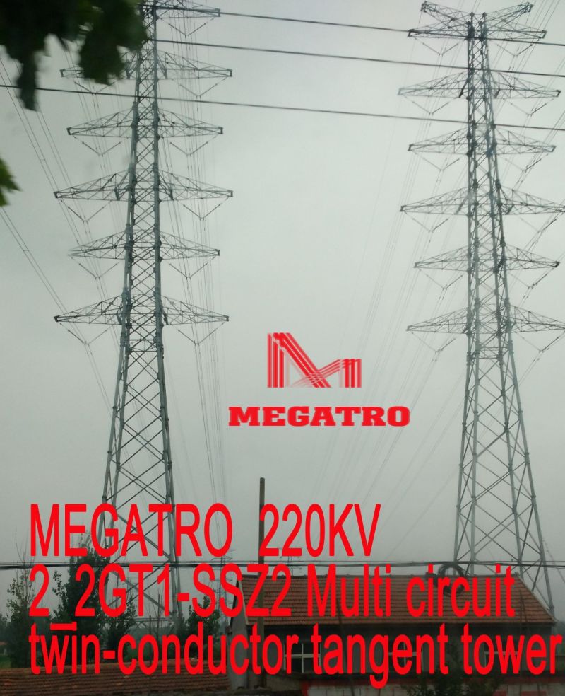 Megatro 220kv 2_2gt1-Ssz2 Multi Circuit Twin-Conductor Tangent Tower