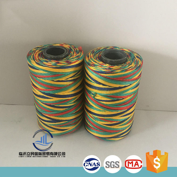 Professional Factory Fishing Net PE Rope Twine