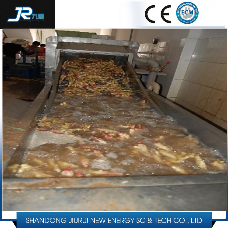 Industrial Vegetable and Fruit Washing and Drying Machine