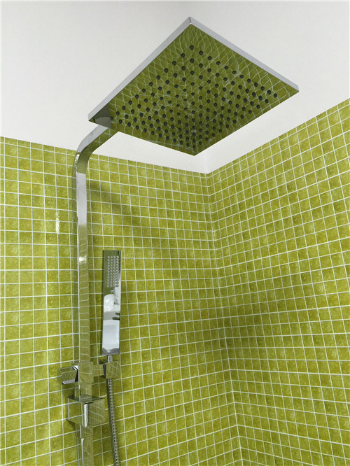 Australian Standard Bathroom Brass Hand Shower (Arb010)