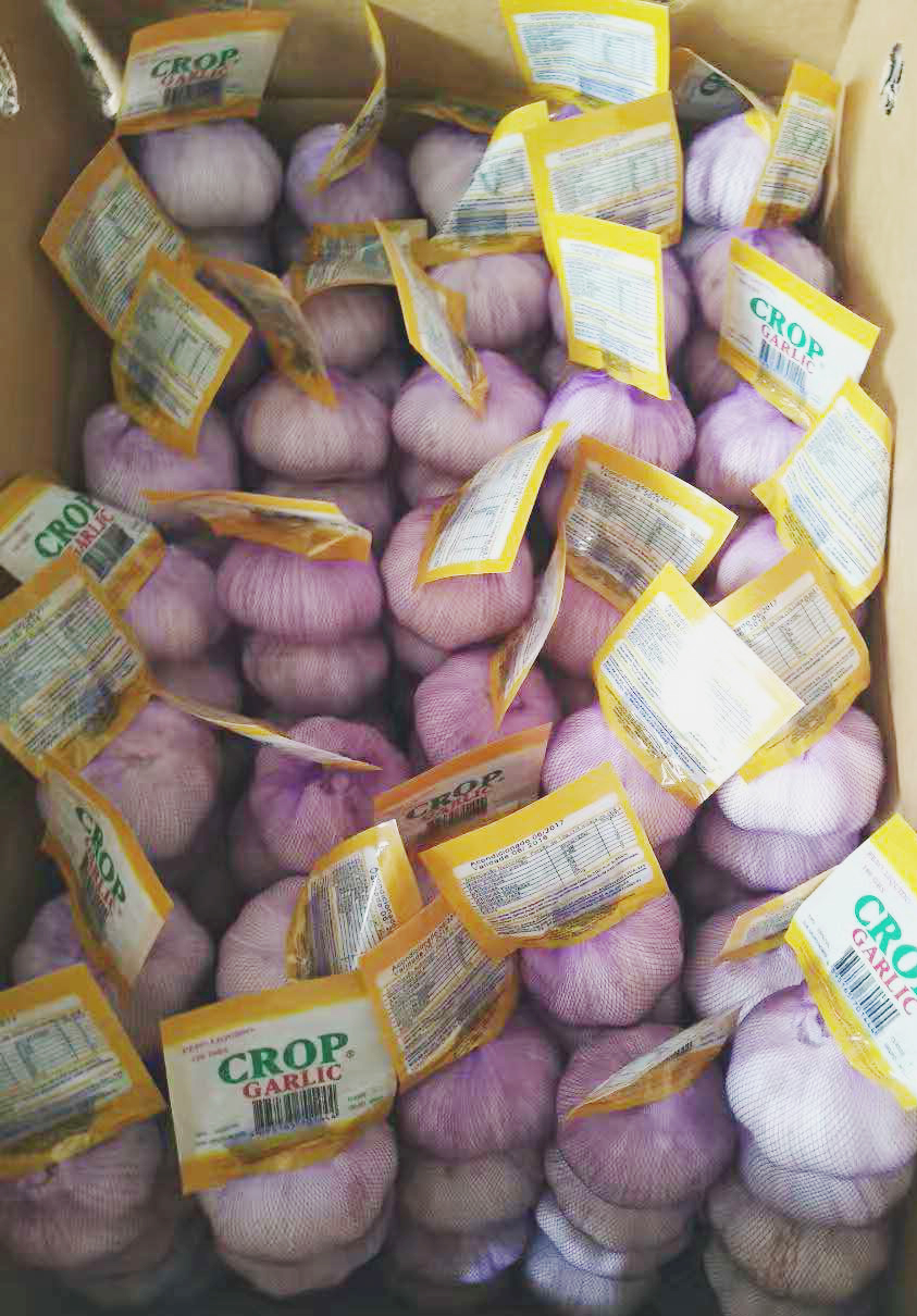 Hot sale garlic in china is jinxiang county garlic ,Garlic from Jinxiang,Planting garlic for decades,Have enough experience to control the quality of garlic products。Make sure people eat garlic healthily. Hot sale garlic in china is jinxiang county garlic ,Garlic from Jinxiang,Planting garlic for decades,Have enough experience to control the quality of garlic products。Make sure people eat garlic healthily.