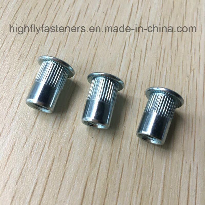 Blind Rivet Nut Galvanized