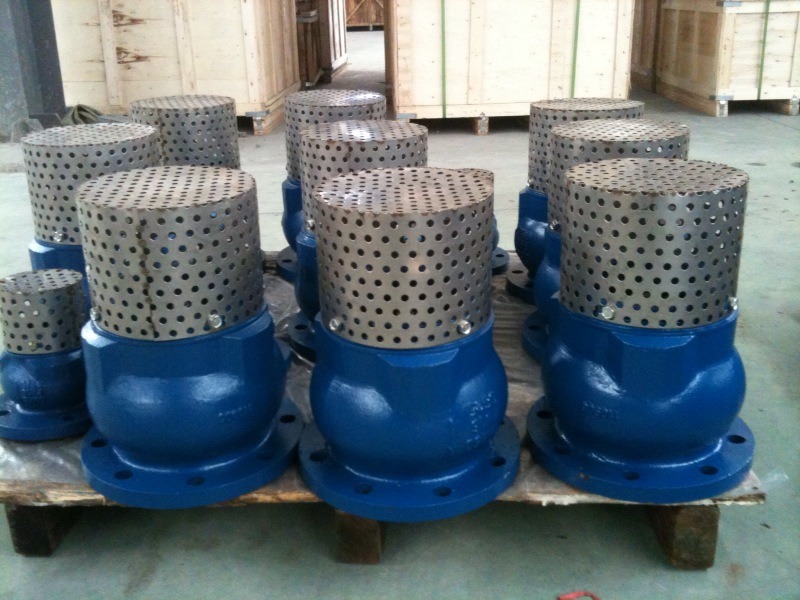 DIN/ANSI Stainless Steel Screen Foot Valve