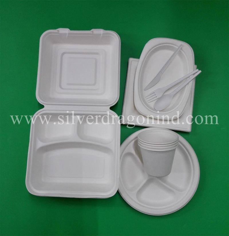 Food Grade Biodegradable Sugarcane Pulp Paper Disposable Plate