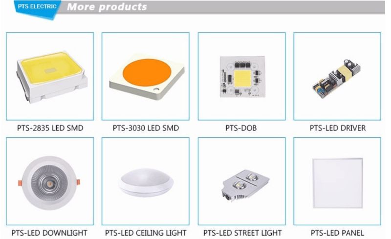 Dob 10W 20W 30W 40W 50W 60W 70W 80W 90W 150W 120V/ 230V/ 110V/220V for Street Light