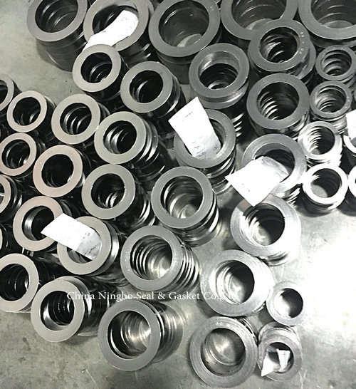 Flexible Graphite Seal Gasket