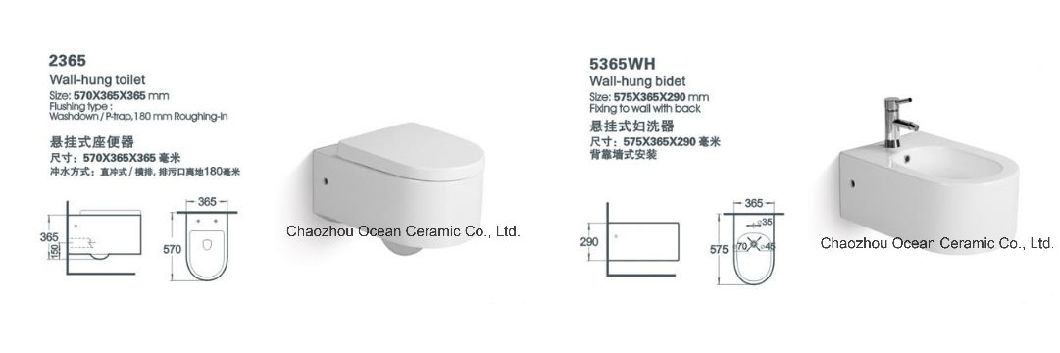 2304-5304wh Bathroom Sanitary Ware, Wall Hung Toilet and Wall Hung Bidet