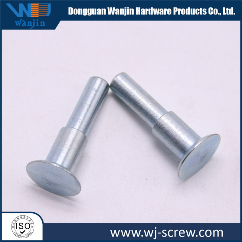 Custom Made Carbon Steel Stainless Steel Aluminum Plating Screw