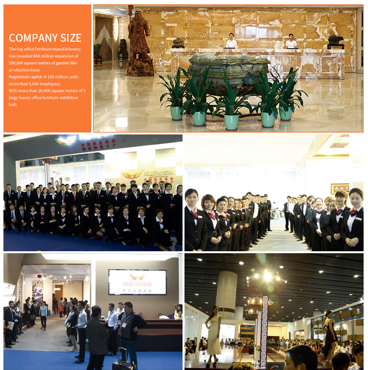 Modern Furniture Conference Hall Chair (HY-9009)