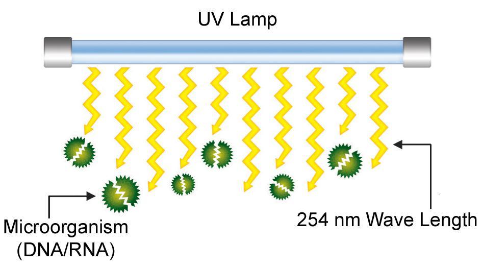 Swimming Pool UV Disinfection Equipment Water Treatment