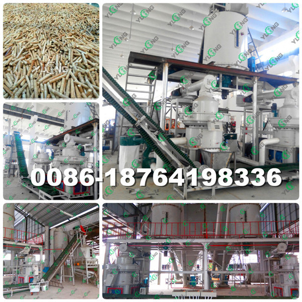 China Hot Sale Biomass Fuel Pellet Press (XGJ850)