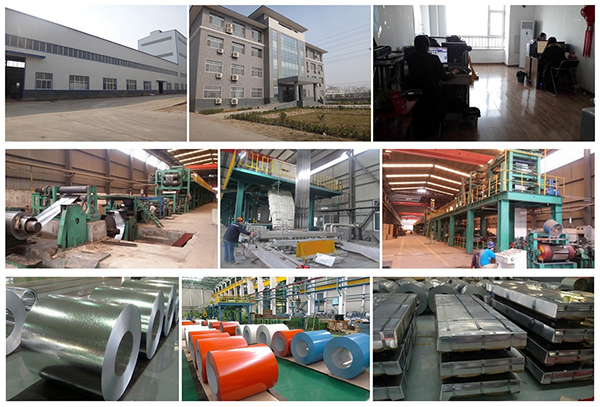 0.15-0.8mm Cold Rolled Galvanized Steel Coil for Building Material