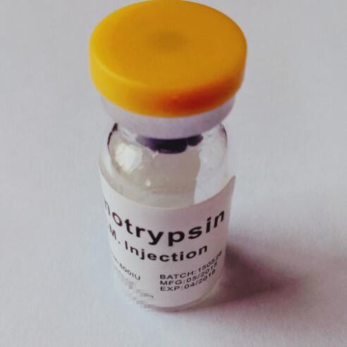 Chymotrypsin Lyophilized Powder for Wound Healing