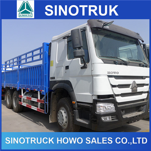 Heavy Duty 10 Wheels HOWO 6X4 Cargo Truck for Sale