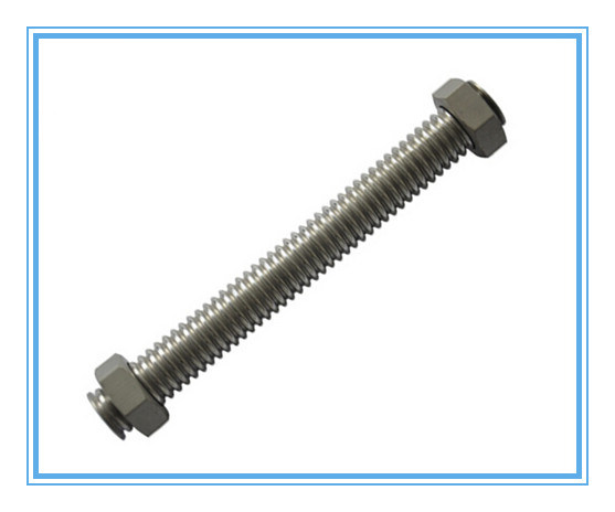 Stainless Steel Stud Bolt with Nuts