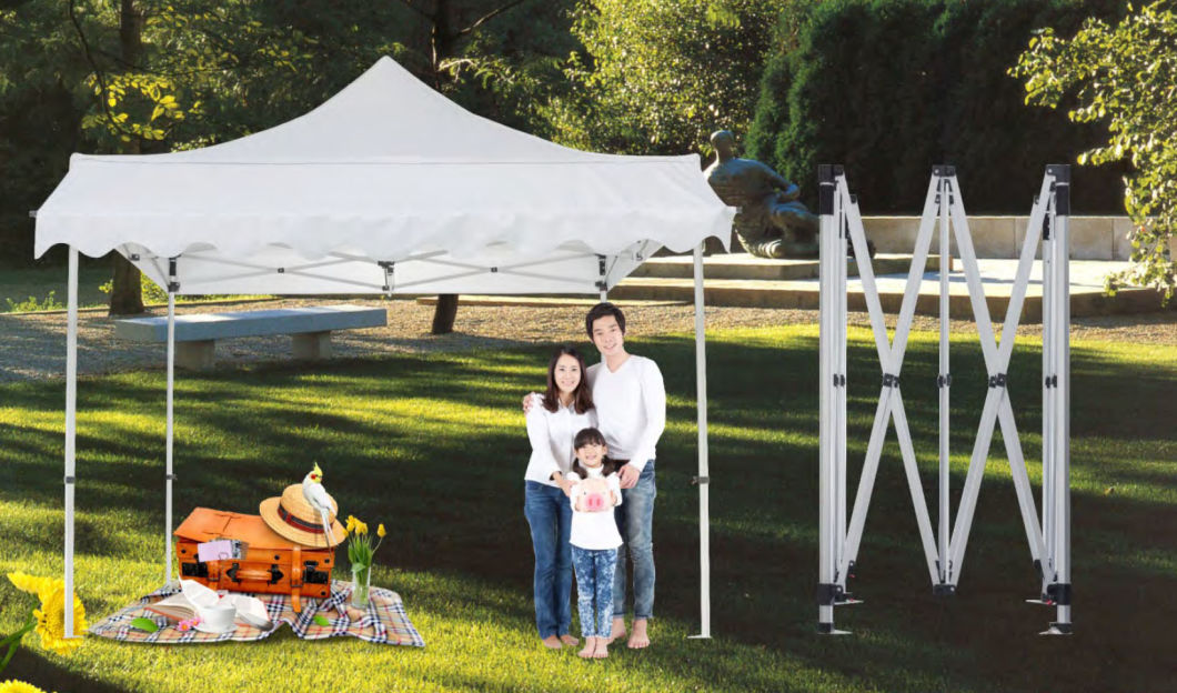 Screen Printed Promotional Advertising Gazebo Display Folding Tents