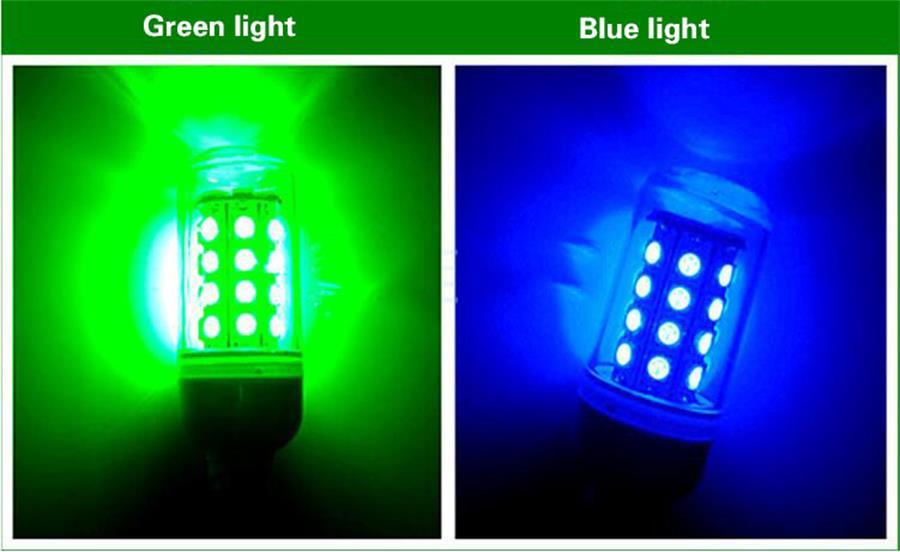 12V Underwater Light and Night Fishing Lighting